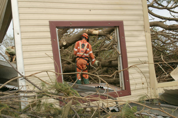 How Our Tree Care Process Works  in  Shelton, NE